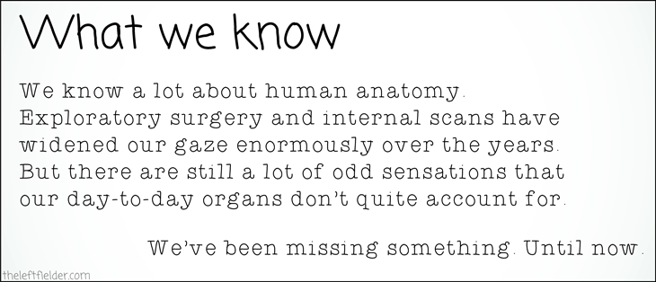 Internal-organs-that-we-know-exist