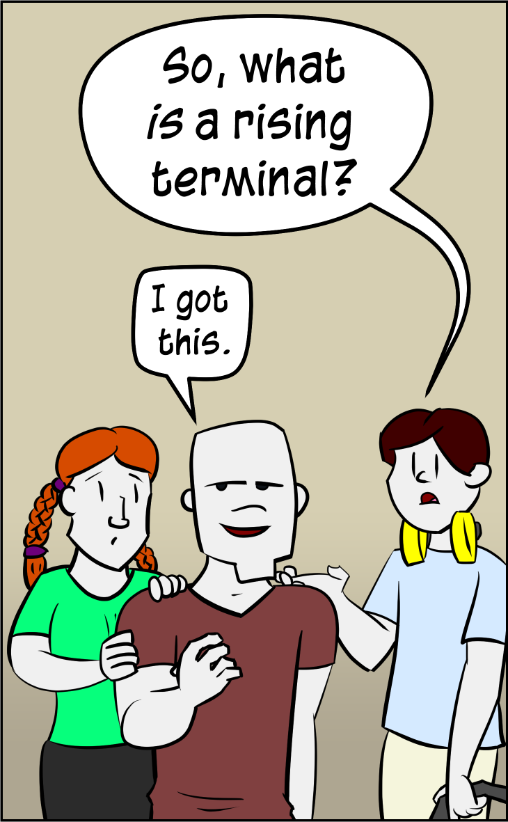 What Is A Rising Terminal